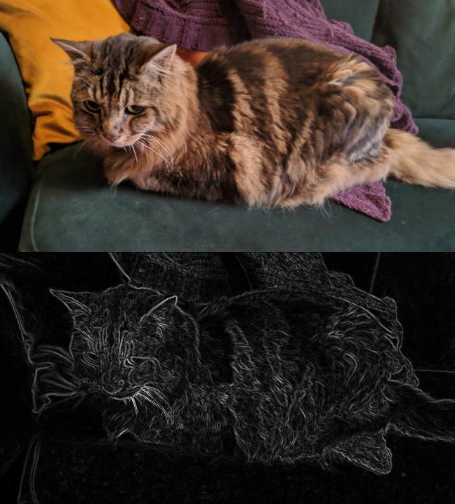 Our cat Chunk in two pictures - original and after edge detection processing